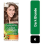 Garnier Hair Color Dark Blonde 6